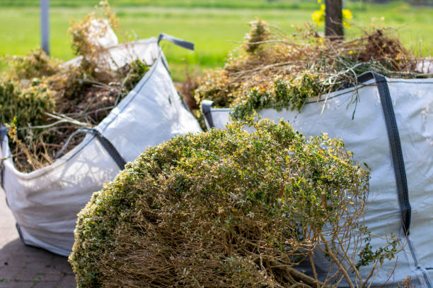 Best Trash Removal Near Me  in Thornton, IL