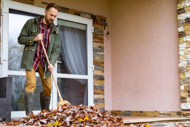 Best Household Junk Removal  in Thornton, IL