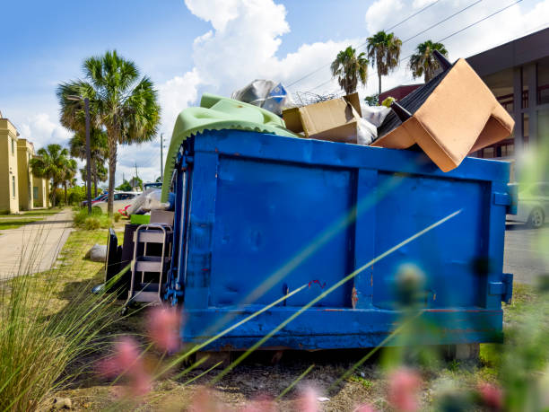 Best Office Junk Removal  in Thornton, IL